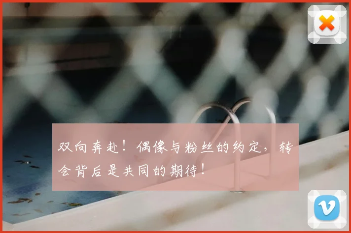 双向奔赴!偶像与粉丝的约定,转会背后是共同的期待!