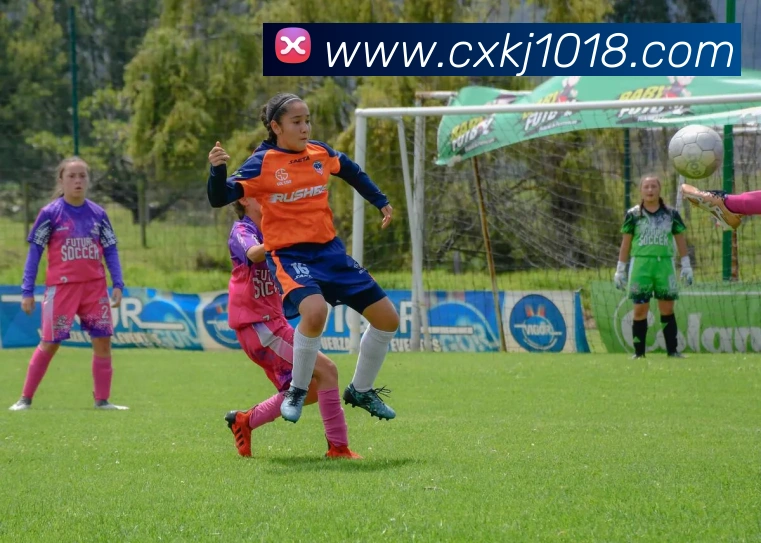 奖项证书